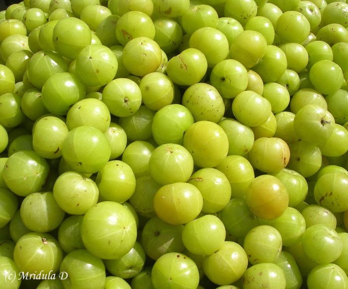 Amla