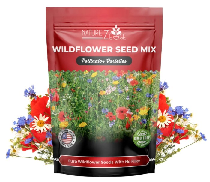 Can i plant wildflower seeds in february