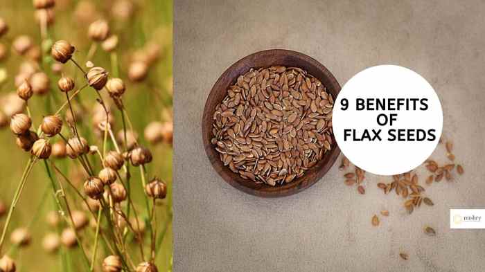 Where to buy flax seeds for planting