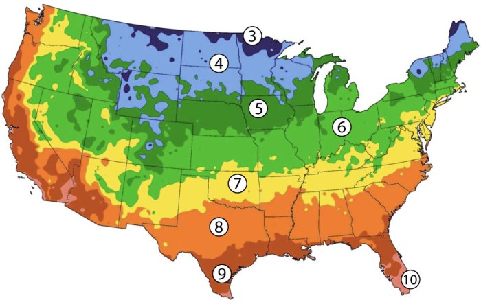 Zone onions 7a climates require