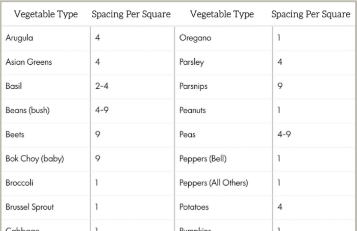 How far apart to plant beet seeds