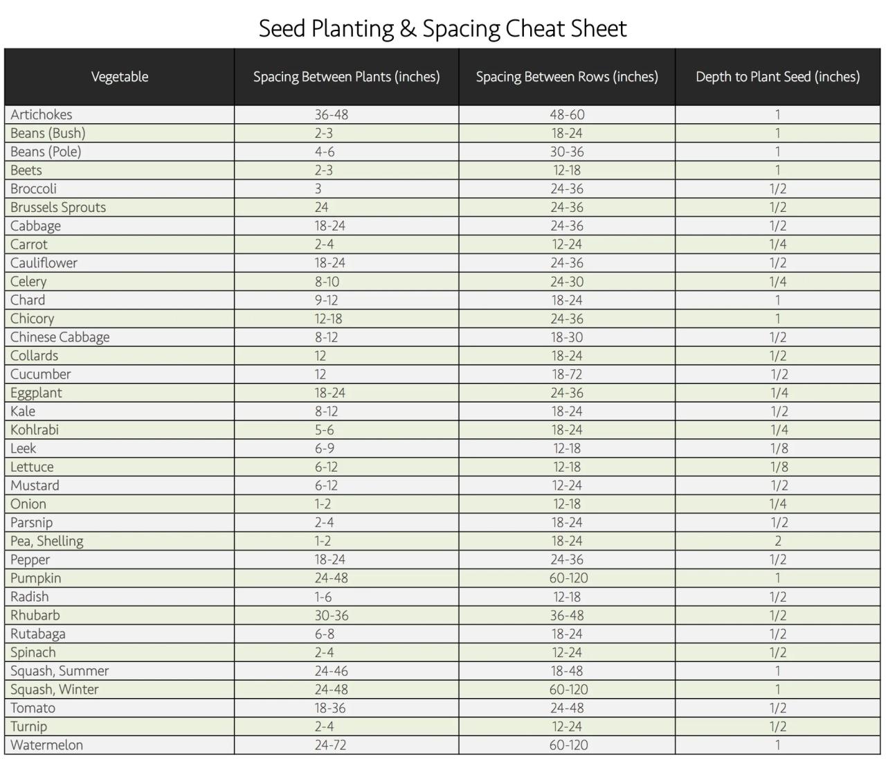 How far apart to plant beet seeds