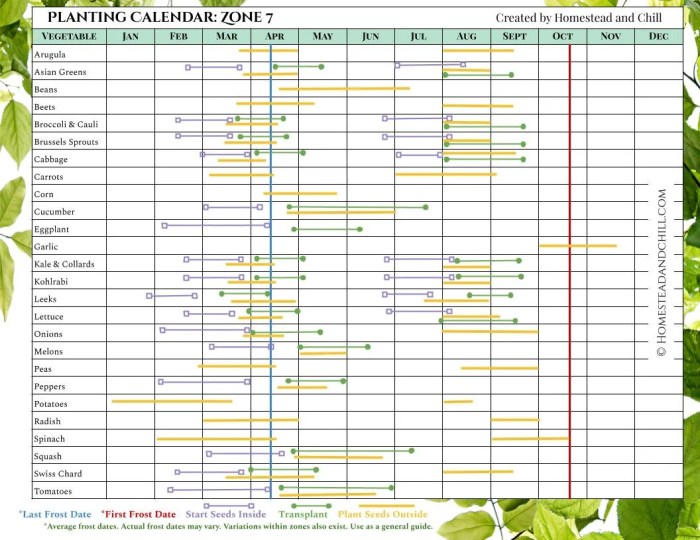 When to plant onion seeds zone 7