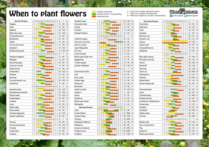 Grass seed plant planting tips leave success simple guide