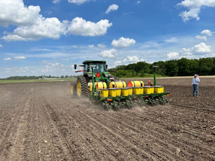 How deep should corn seeds be planted