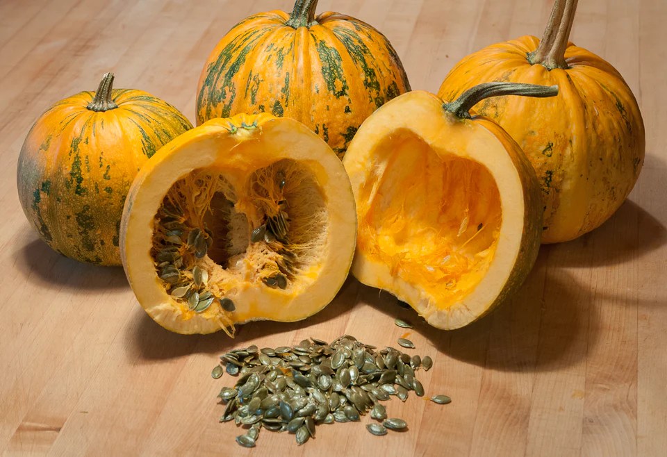 Can you plant a pumpkin seed