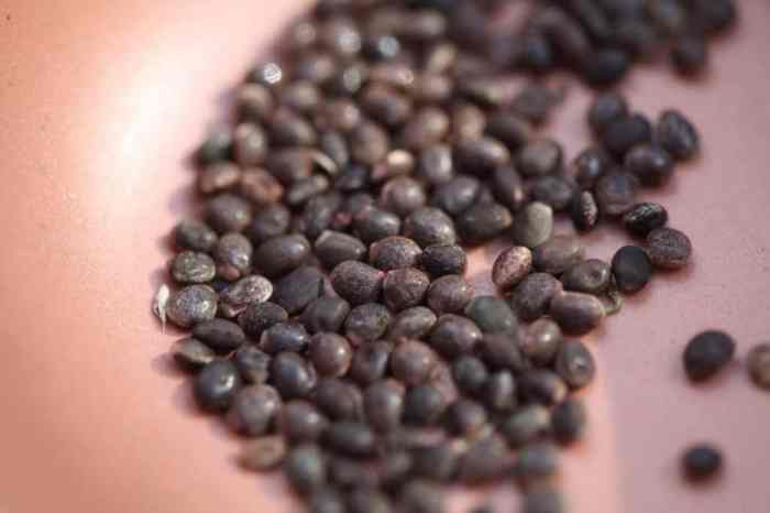 When to plant lupin seeds