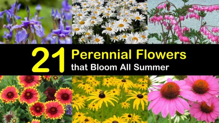 Can i plant perennial seeds in the fall