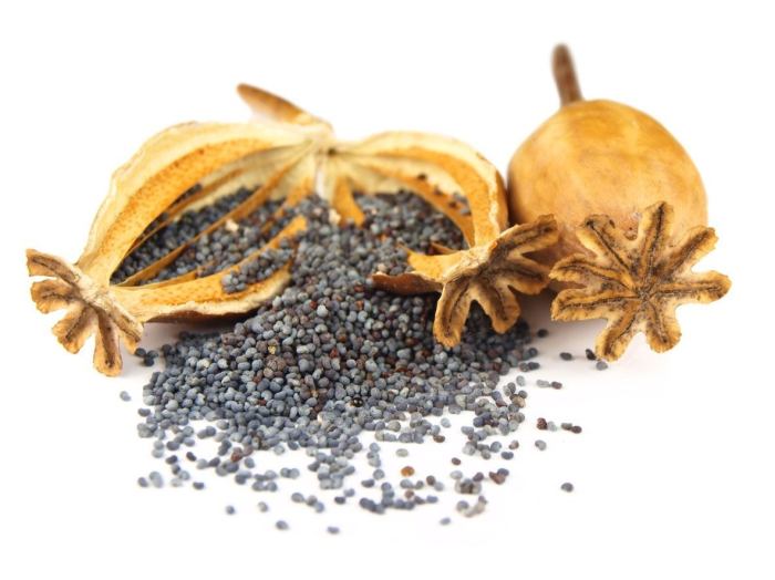 Can you plant poppy seeds from a bagel