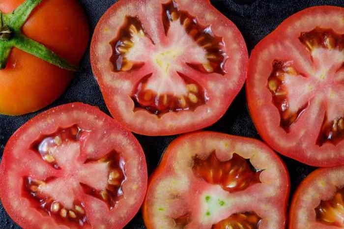 Seedlings tomatoes