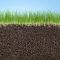 Can you plant grass seed in july