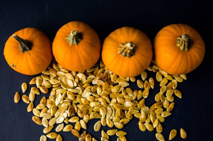 Can you plant fresh pumpkin seeds